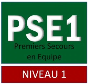 Formations sigle PSE1
