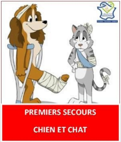 Formations sigle premiers secours chiens et chats PSCF