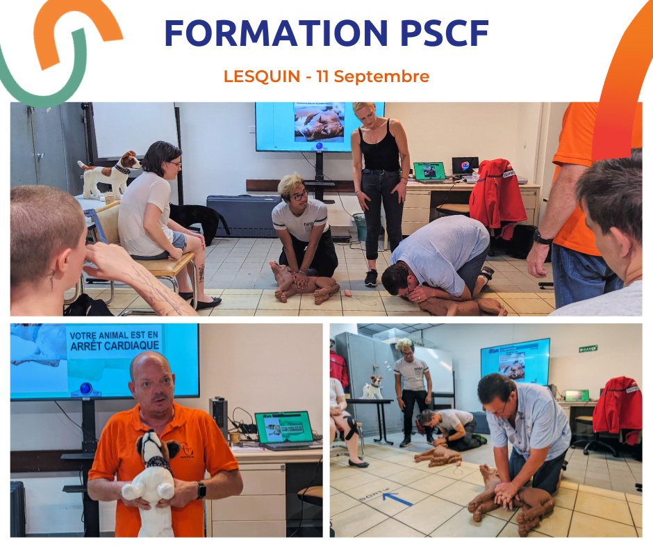 Actualités Septembre Formation PSCF Lesquin