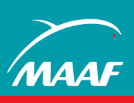 maaf